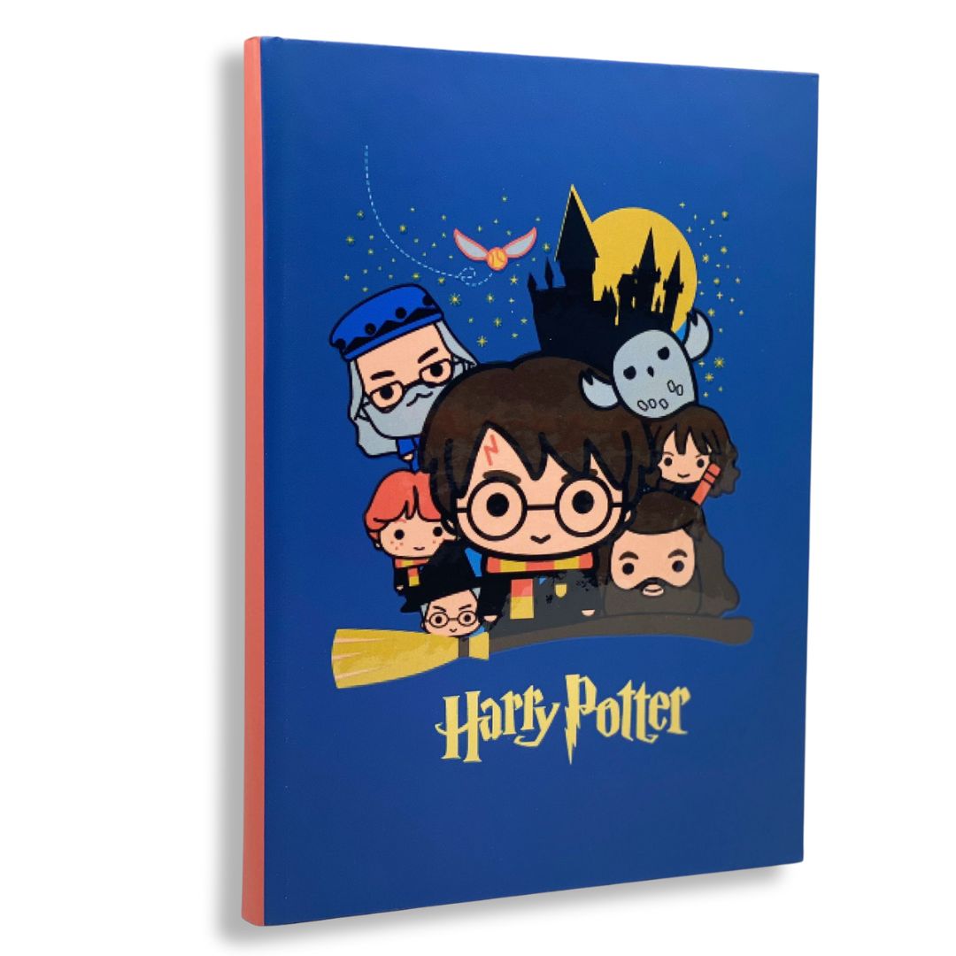 Harry Potter Notebooks