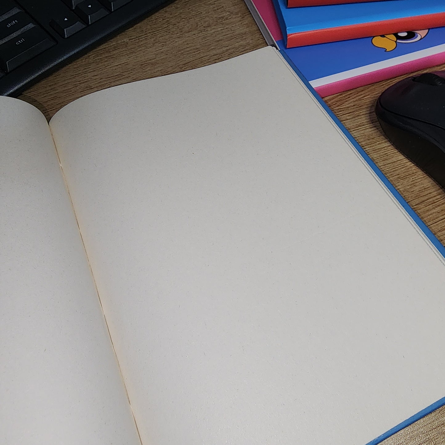 Sonic Notebook