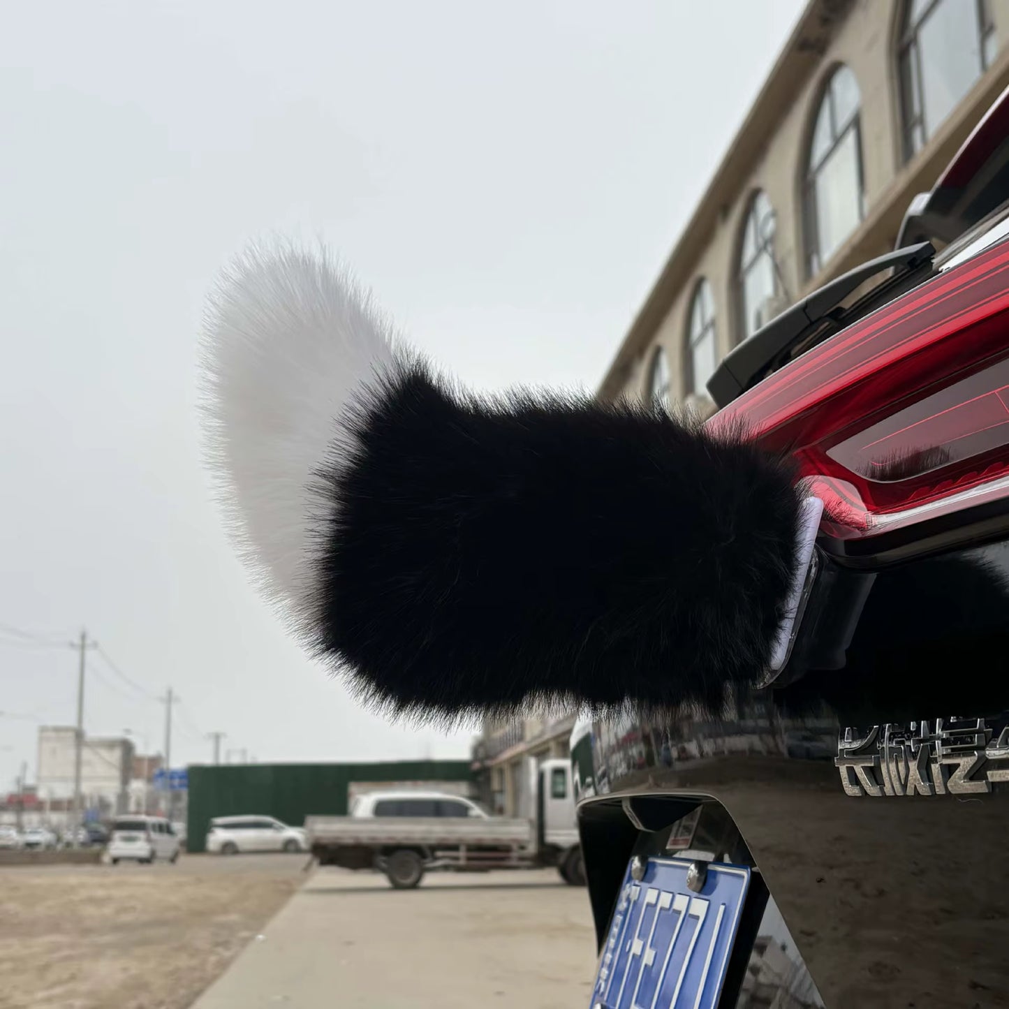 Smart Wagging Vehicle Tail