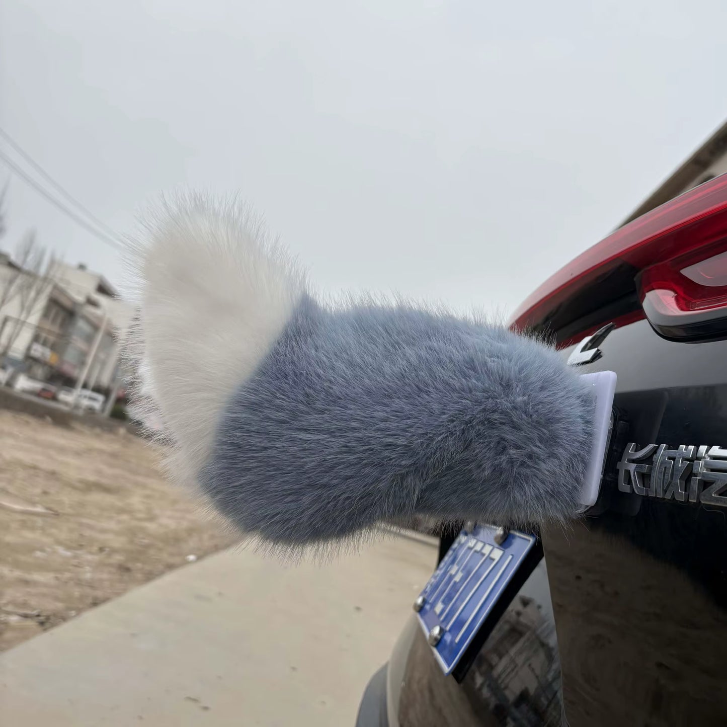 Smart Wagging Vehicle Tail