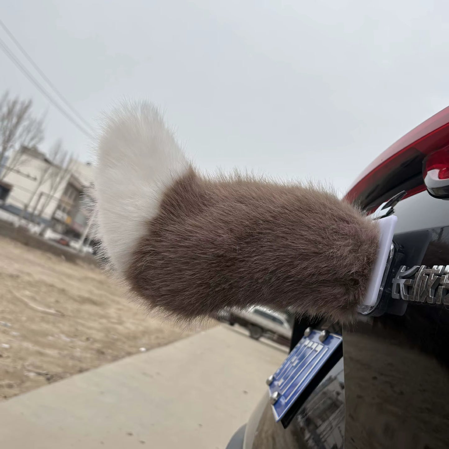 Smart Wagging Vehicle Tail