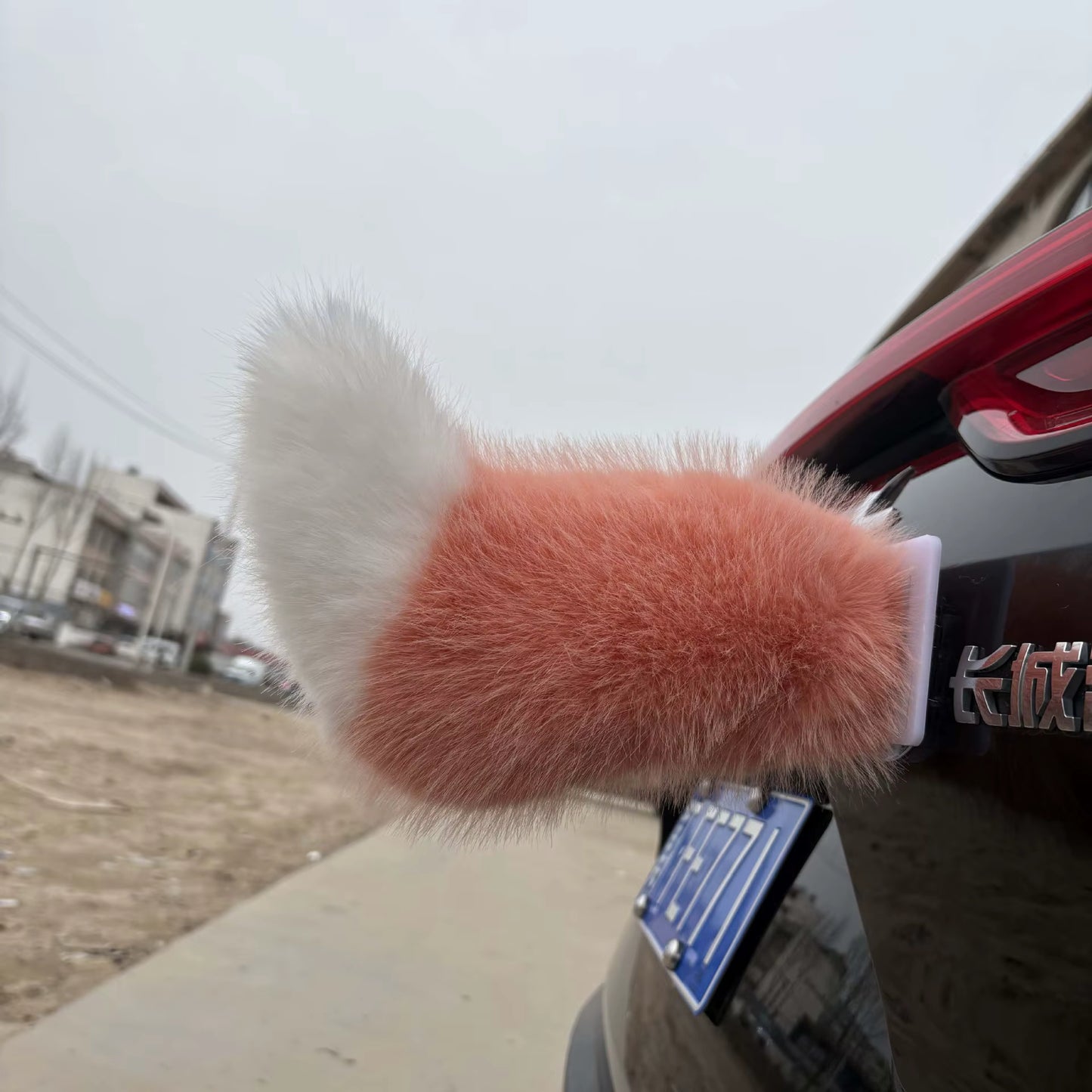 Smart Wagging Vehicle Tail