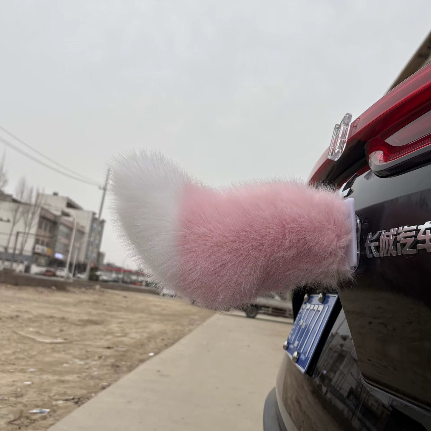 Smart Wagging Vehicle Tail