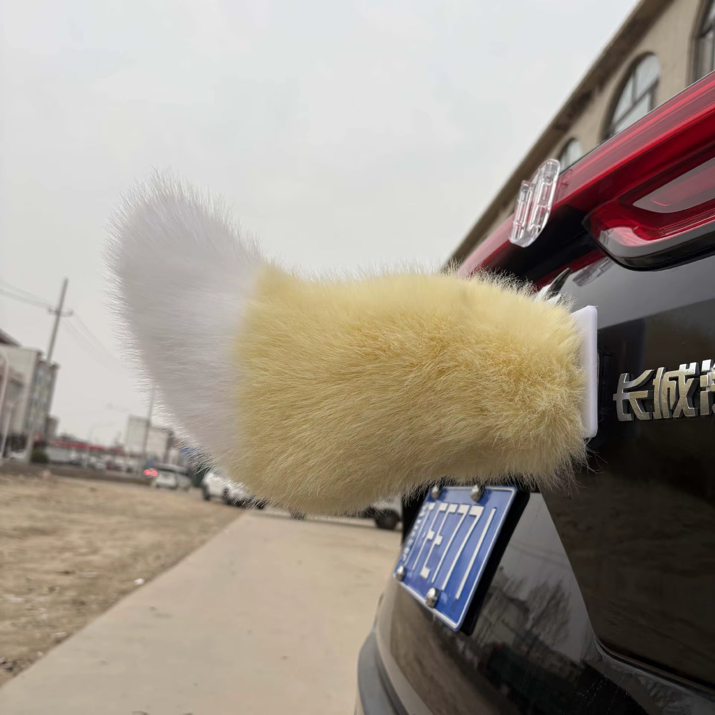 Smart Wagging Vehicle Tail